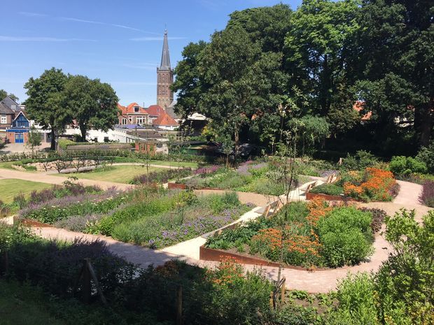 Stadstuin Steenwijk