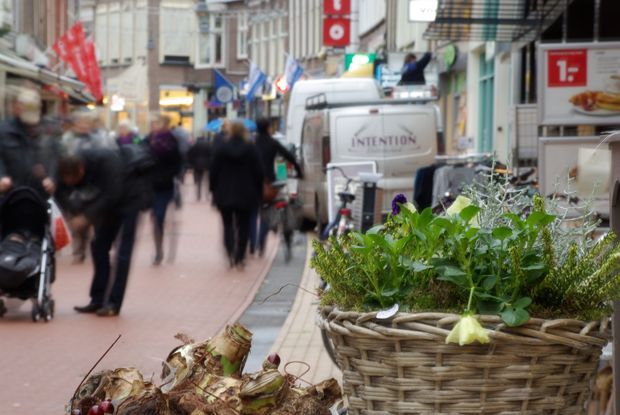 winkelstraat steenwijk