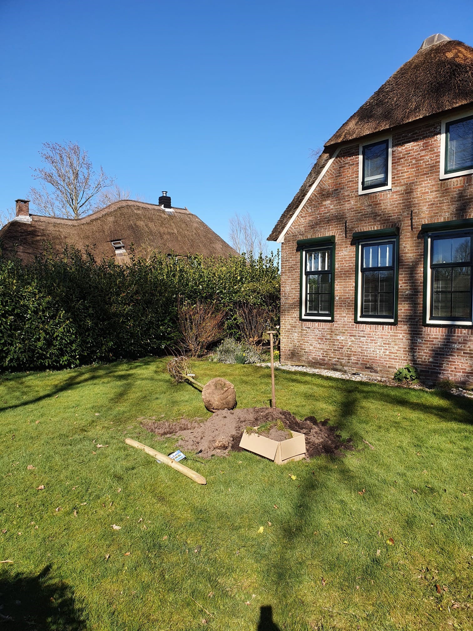 Fruitbomen in Giethoorn 