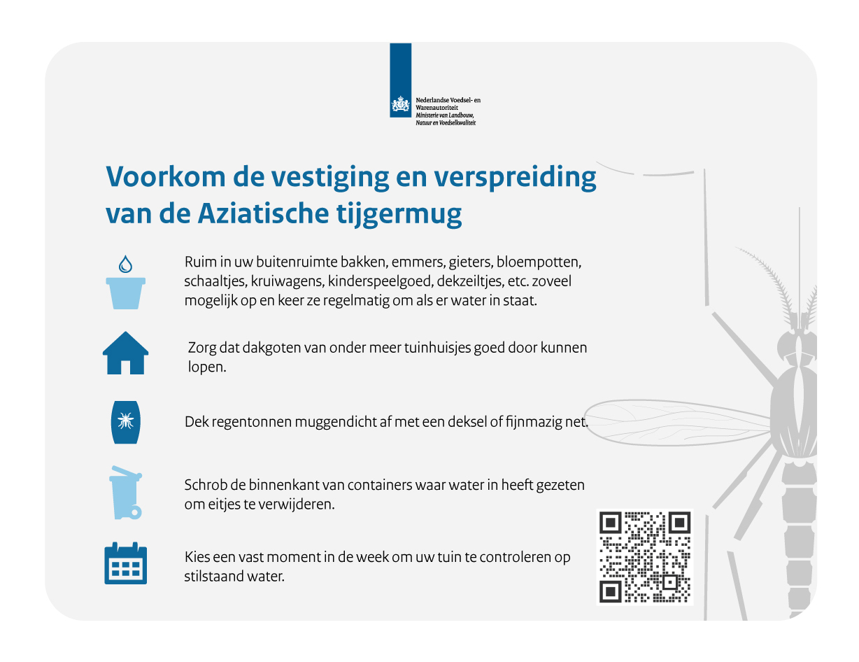 muggen tips