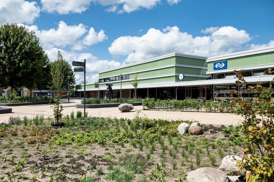 Regionale Praktijk Academie station Steenwijk en wadi, juli 2025