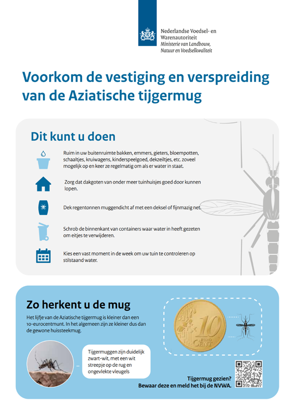 Poster Aziatische tijgermug