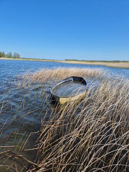 Gevonden boot