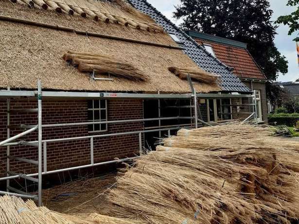 rietgedekt dak